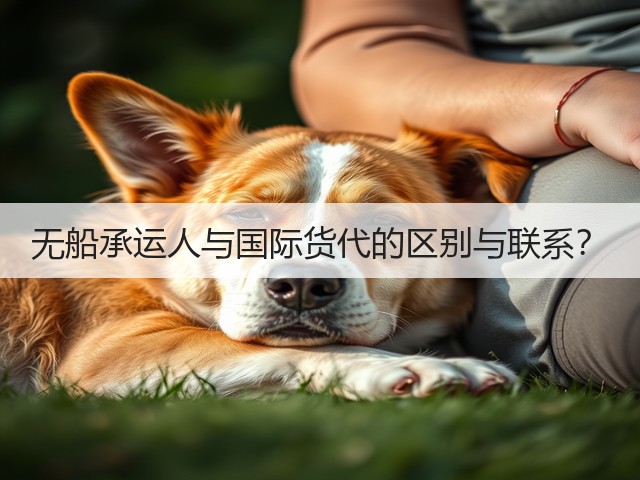 无船承运人与国际货代的区别与联系?(图2) 无船承运人与国际货代的区别与联系?(图2)