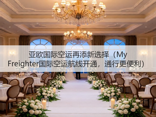 亚欧国际空运再添新选择(My Freighter国际空运航线开通,通行更便利)(图2) 亚欧国际空运再添新选择(My Freighter国际空运航线开通,通行更便利)(图2)