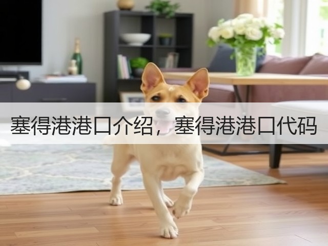 塞得港港口介绍,塞得港港口代码(图2) 塞得港港口介绍,塞得港港口代码(图2)