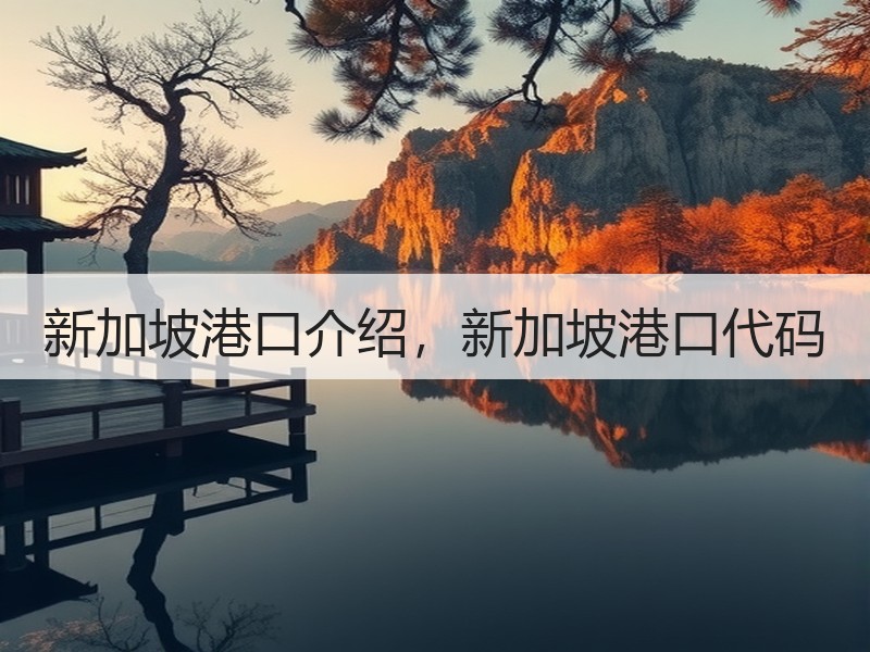 新加坡港口介绍，新加坡港口代码