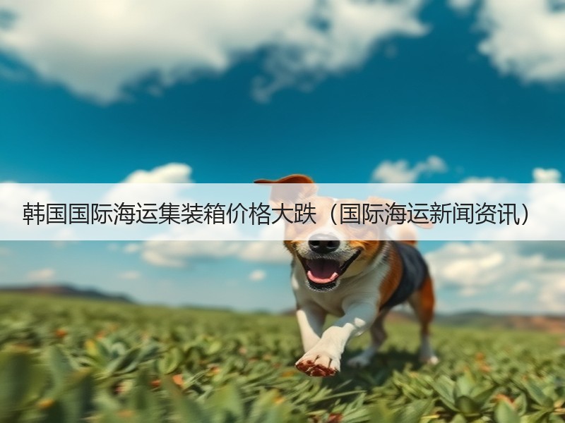 韩国国际海运集装箱价格大跌(国际海运新闻资讯) 韩国国际海运集装箱价格大跌(国际海运新闻资讯)
