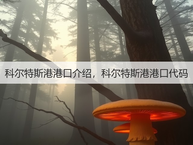 科尔特斯港港口介绍，科尔特斯港港口代码(图3)