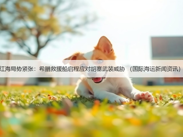 红海局势紧张:希腊救援船启程应对胡塞武装威胁 (国际海运新闻资讯)(图3) 红海局势紧张:希腊救援船启程应对胡塞武装威胁 (国际海运新闻资讯)(图3)
