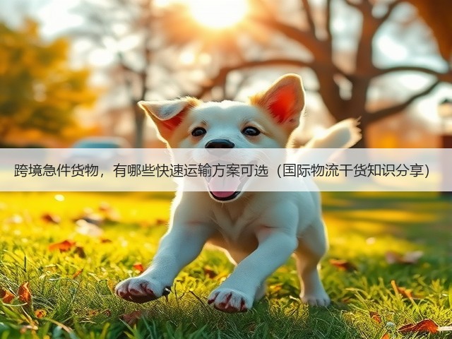 跨境急件货物,有哪些快速运输方案可选(国际物流干货知识分享)(图1) 跨境急件货物,有哪些快速运输方案可选(国际物流干货知识分享)(图1)