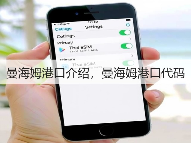 曼海姆港口介绍,曼海姆港口代码(图2) 曼海姆港口介绍,曼海姆港口代码(图2)