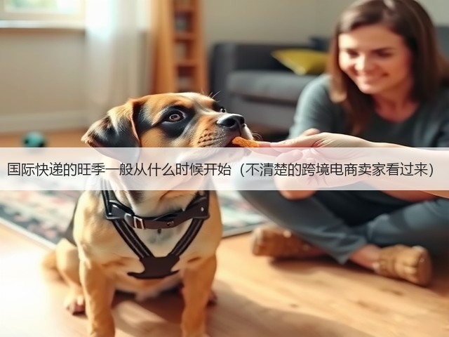 国际快递的旺季一般从什么时候开始(不清楚的跨境电商卖家看过来)(图2) 国际快递的旺季一般从什么时候开始(不清楚的跨境电商卖家看过来)(图2)