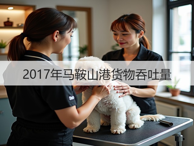 2017年马鞍山港货物吞吐量(图2) 2017年马鞍山港货物吞吐量(图2)