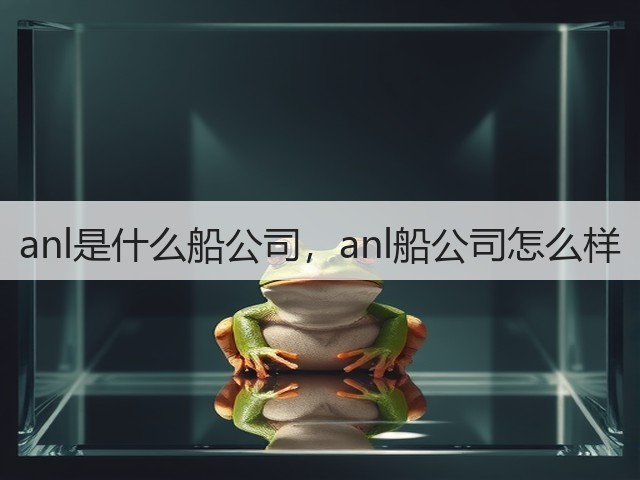 anl是什么船公司，anl船公司怎么样(图2)