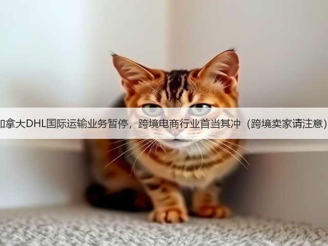 加拿大DHL国际运输业务暂停,跨境电商行业首当其冲(跨境卖家请注意)(图2) 加拿大DHL国际运输业务暂停,跨境电商行业首当其冲(跨境卖家请注意)(图2)