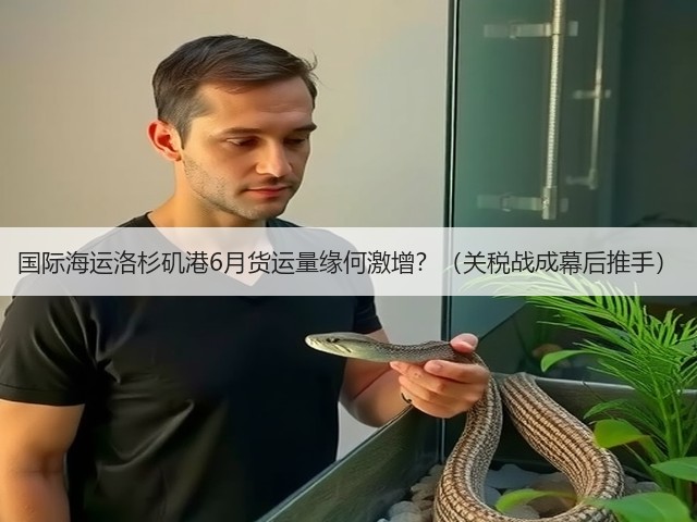 国际海运洛杉矶港6月货运量缘何激增?(关税战成幕后推手)(图2) 国际海运洛杉矶港6月货运量缘何激增?(关税战成幕后推手)(图2)