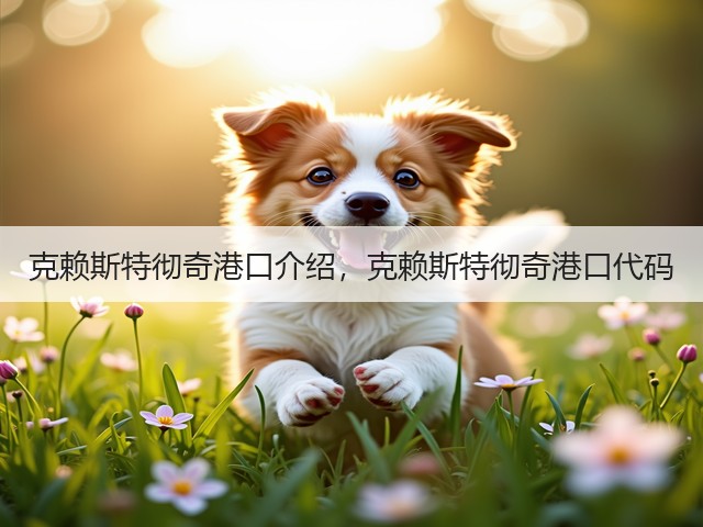 克赖斯特彻奇港口介绍，克赖斯特彻奇港口代码(图2)