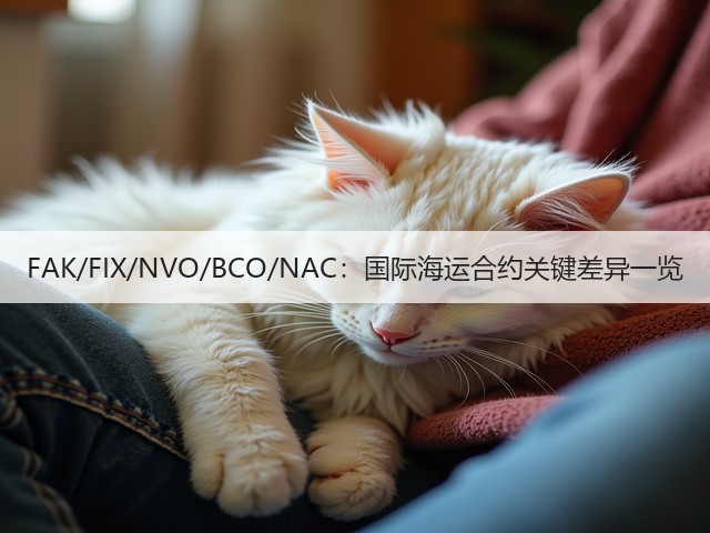 FAK/FIX/NVO/BCO/NAC:国际海运合约关键差异一览(图3) FAK/FIX/NVO/BCO/NAC:国际海运合约关键差异一览(图3)