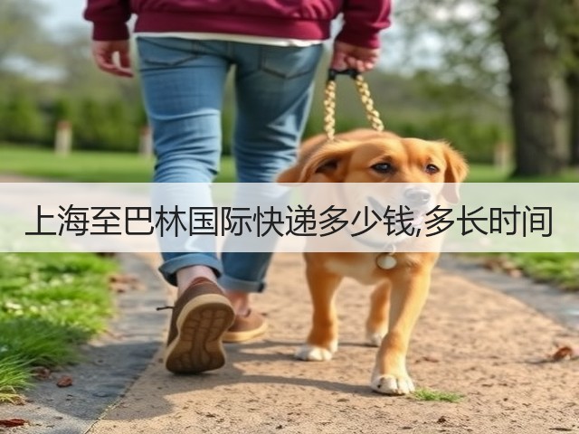 上海至巴林国际快递多少钱,多长时间(图1) 上海至巴林国际快递多少钱,多长时间(图1)