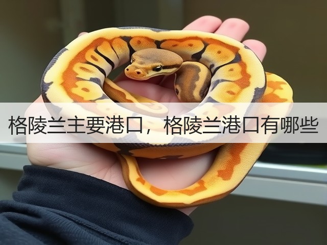 格陵兰主要港口，格陵兰港口有哪些(图2)