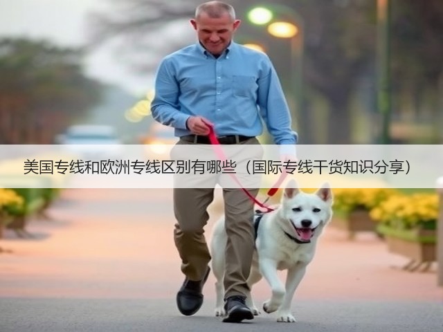 美国专线和欧洲专线区别有哪些(国际专线干货知识分享)(图2) 美国专线和欧洲专线区别有哪些(国际专线干货知识分享)(图2)