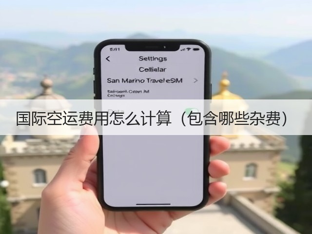 国际空运费用怎么计算(包含哪些杂费)(图3) 国际空运费用怎么计算(包含哪些杂费)(图3)