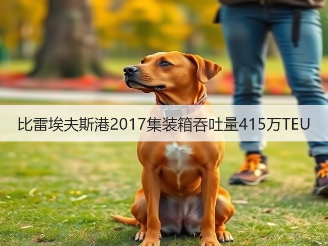 比雷埃夫斯港2017集装箱吞吐量415万TEU(图2) 比雷埃夫斯港2017集装箱吞吐量415万TEU(图2)