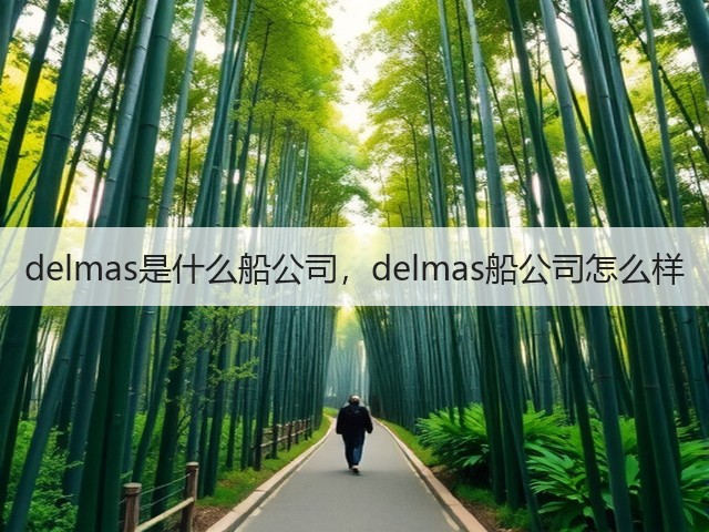 delmas是什么船公司，delmas船公司怎么样(图3)