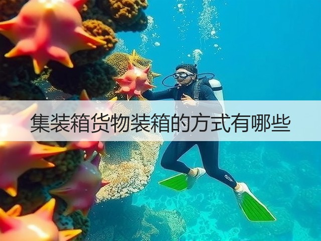 集装箱货物装箱的方式有哪些(图3) 集装箱货物装箱的方式有哪些(图3)