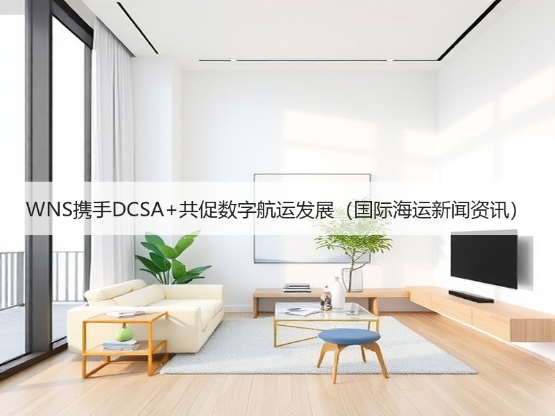 WNS携手DCSA+共促数字航运发展（国际海运新闻资讯）