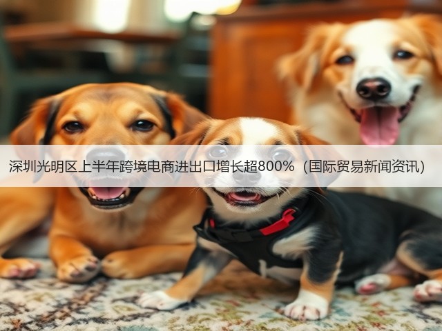 深圳光明区上半年跨境电商进出口增长超800%（国际贸易新闻资讯）(图2)