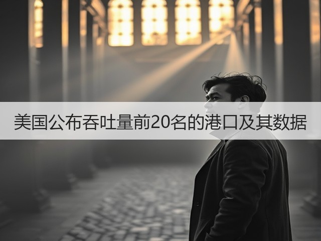 美国公布吞吐量前20名的港口及其数据(图2) 美国公布吞吐量前20名的港口及其数据(图2)