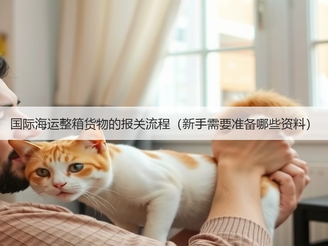 国际海运整箱货物的报关流程（新手需要准备哪些资料）(图2)