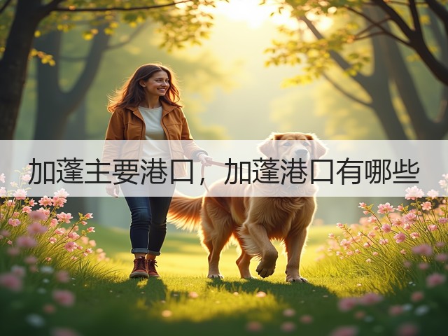 加蓬主要港口,加蓬港口有哪些(图1) 加蓬主要港口,加蓬港口有哪些(图1)