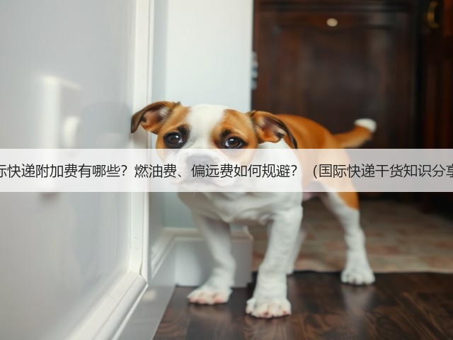 国际快递附加费有哪些?燃油费、偏远费如何规避?(国际快递干货知识分享)(图2) 国际快递附加费有哪些?燃油费、偏远费如何规避?(国际快递干货知识分享)(图2)
