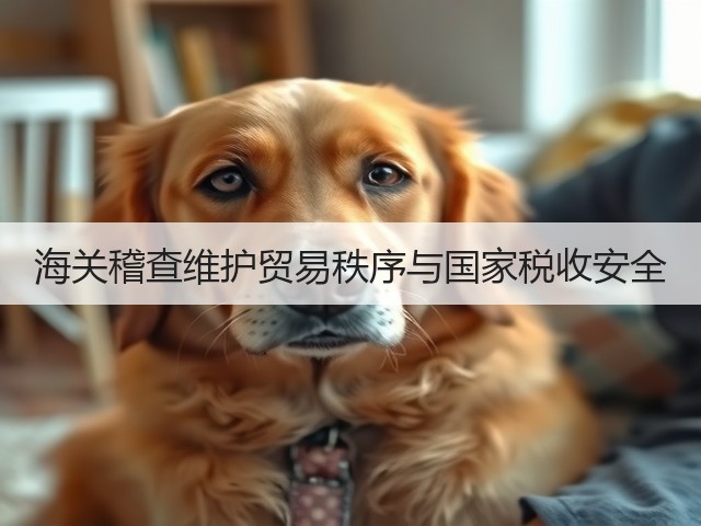 海关稽查维护贸易秩序与国家税收安全(图2) 海关稽查维护贸易秩序与国家税收安全(图2)