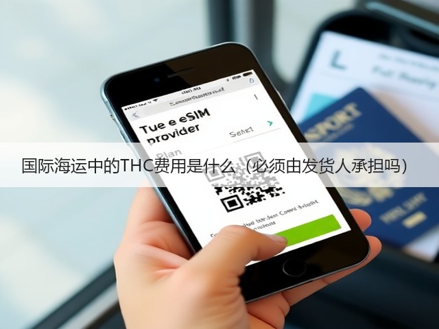 国际海运中的THC费用是什么(必须由发货人承担吗)(图2) 国际海运中的THC费用是什么(必须由发货人承担吗)(图2)