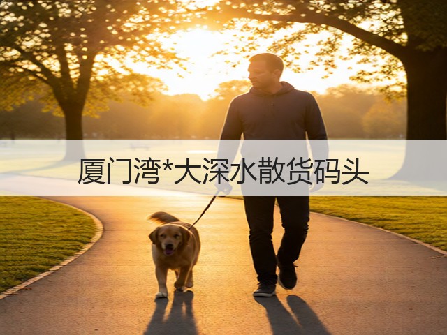 厦门湾*大深水散货码头(图2)