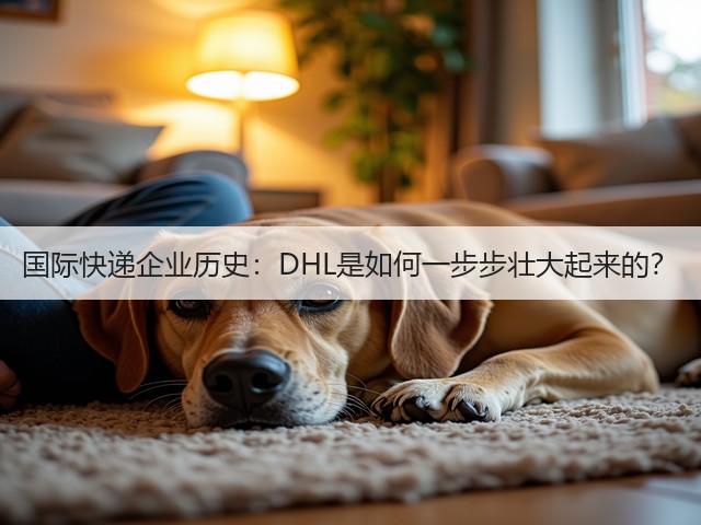 国际快递企业历史:DHL是如何一步步壮大起来的?(图2) 国际快递企业历史:DHL是如何一步步壮大起来的?(图2)