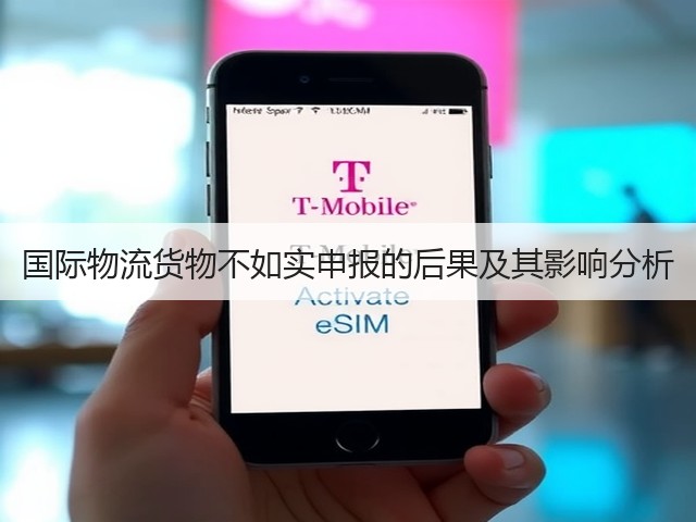 国际物流货物不如实申报的后果及其影响分析(图2) 国际物流货物不如实申报的后果及其影响分析(图2)