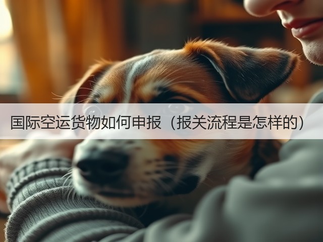 国际空运货物如何申报（报关流程是怎样的）(图2)