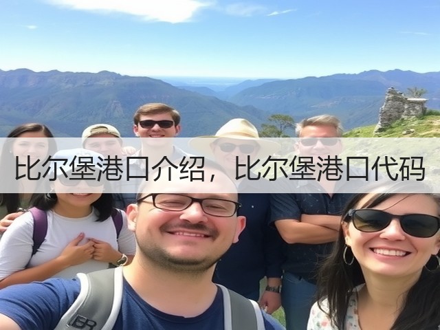 比尔堡港口介绍，比尔堡港口代码(图2)