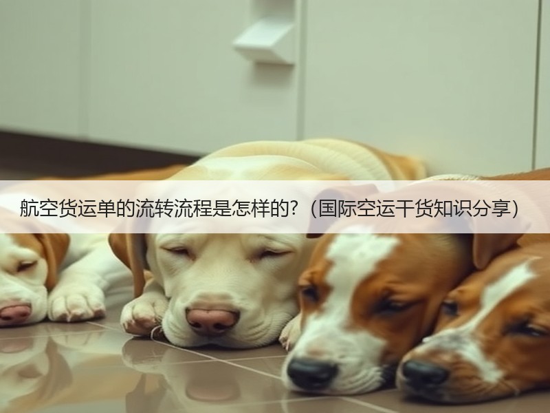 航空货运单的流转流程是怎样的?（国际空运干货知识分享）
