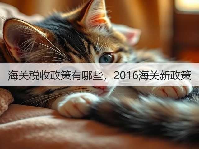 海关税收政策有哪些,2016海关新政策(图1) 海关税收政策有哪些,2016海关新政策(图1)
