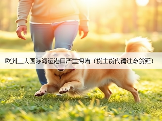 欧洲三大国际海运港口严重拥堵（货主货代请注意货延）(图1)