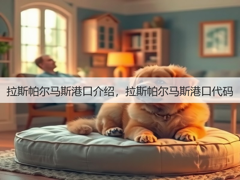 拉斯帕尔马斯港口介绍,拉斯帕尔马斯港口代码 拉斯帕尔马斯港口介绍,拉斯帕尔马斯港口代码