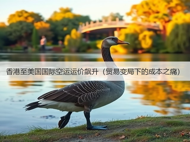 香港至美国国际空运运价飙升（贸易变局下的成本之痛）(图3)