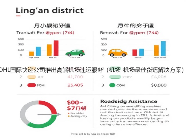 DHL国际快递公司推出高端机场速运服务(机场-机场最佳货运解决方案)(图3) DHL国际快递公司推出高端机场速运服务(机场-机场最佳货运解决方案)(图3)