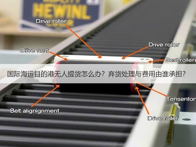 国际海运目的港无人提货怎么办？弃货处理与费用由谁承担？(图2)