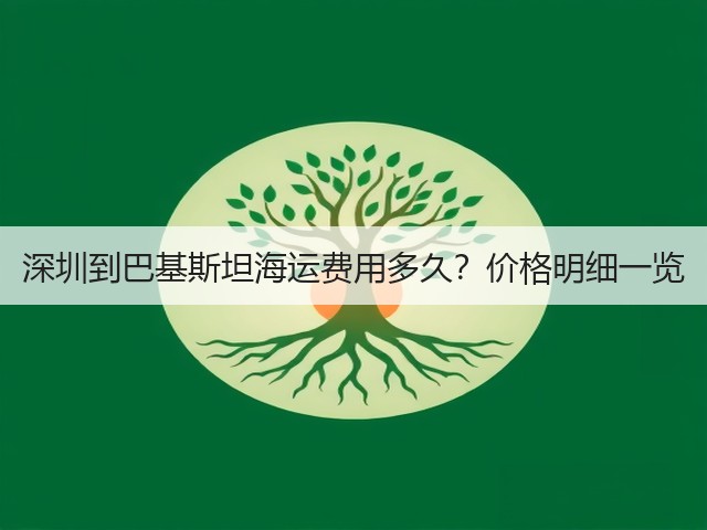深圳到巴基斯坦海运费用多久?价格明细一览(图3) 深圳到巴基斯坦海运费用多久?价格明细一览(图3)