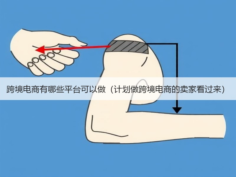 跨境电商有哪些平台可以做(计划做跨境电商的卖家看过来) 跨境电商有哪些平台可以做(计划做跨境电商的卖家看过来)