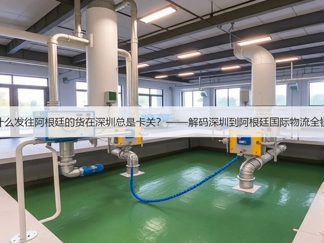 为什么发往阿根廷的货在深圳总是卡关?——解码深圳到阿根廷国际物流全链路(图3) 为什么发往阿根廷的货在深圳总是卡关?——解码深圳到阿根廷国际物流全链路(图3)