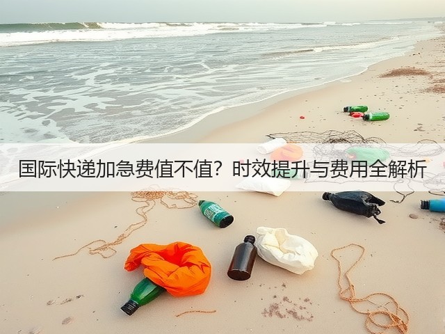 国际快递加急费值不值?时效提升与费用全解析(图3) 国际快递加急费值不值?时效提升与费用全解析(图3)