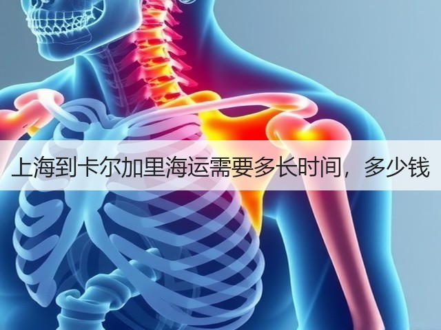 上海到卡尔加里海运需要多长时间，多少钱(图2)