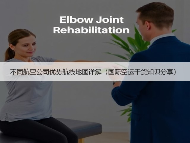 不同航空公司优势航线地图详解(国际空运干货知识分享)(图3) 不同航空公司优势航线地图详解(国际空运干货知识分享)(图3)