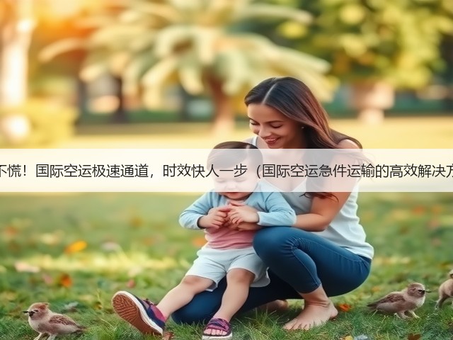急件不慌!国际空运极速通道,时效快人一步(国际空运急件运输的高效解决方案)(图1) 急件不慌!国际空运极速通道,时效快人一步(国际空运急件运输的高效解决方案)(图1)